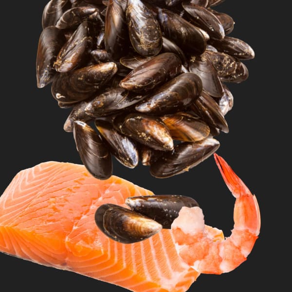 Some examples of fish